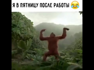 when i came home on friday evening)