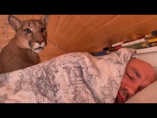 puma messi tries to wake up sasha
