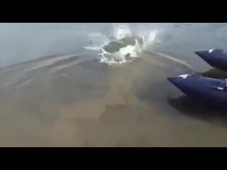 i told him, don't go swimming first