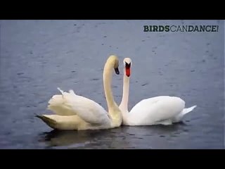 v de sk val k