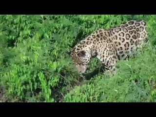 special-hunting-parties-2