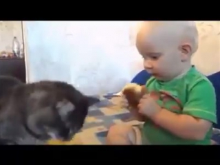 d only food once and once you