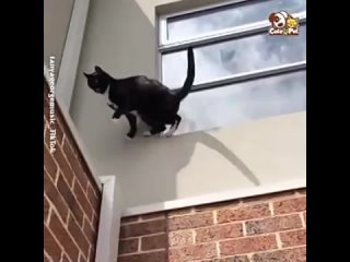 i don't know