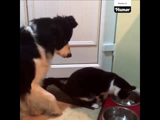 hunger is hunger