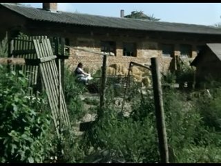 sun, hay, erotica (film, 1991)